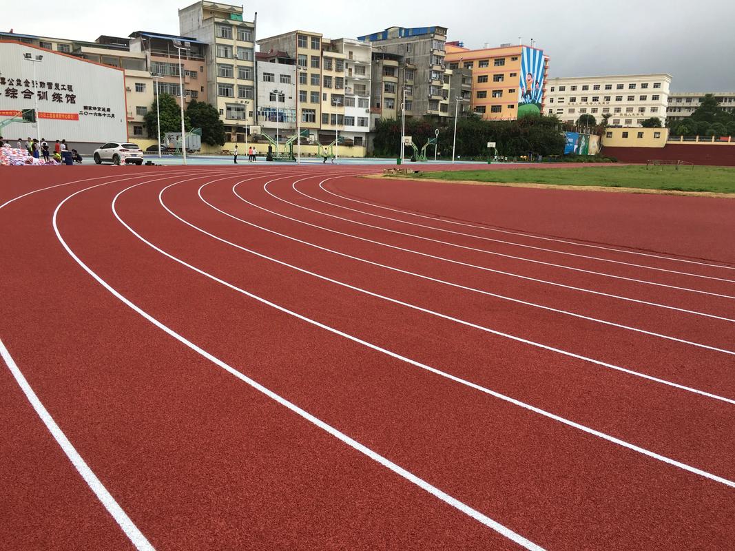 琼中黎族苗族自治县塑胶跑道塑胶跑道材料 - 厂家